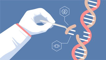 基因编辑是一项具有革命性的技术，它允许科学家直接修改DA序列，从而消除或改变某些基因。近年来，基因编辑技术取得了重大进展，为许多疾病的治疗和预防提供了新的策略。