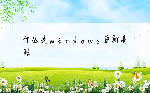 什么是windows更新清理